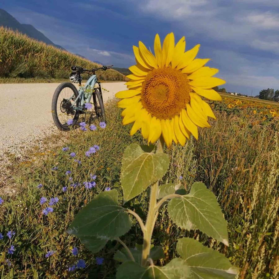 Bikeski Family Hotel, B&B, Apartaments, Rooms Mezica Extérieur photo